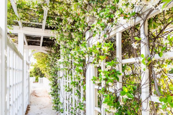 Cost of Trellis Repair in Ypsilanti